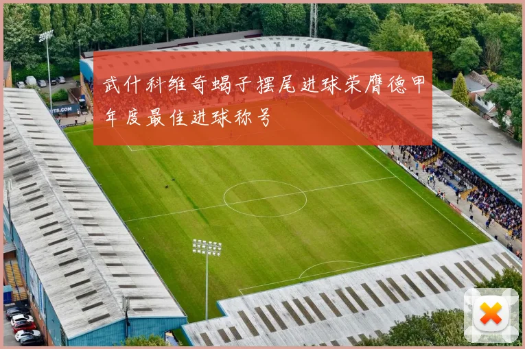 武什科维奇蝎子摆尾进球荣膺德甲年度最佳进球称号