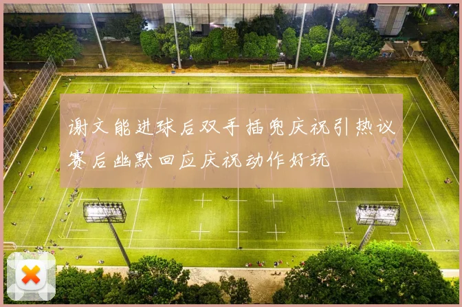 谢文能进球后双手插兜庆祝引热议赛后幽默回应庆祝动作好玩