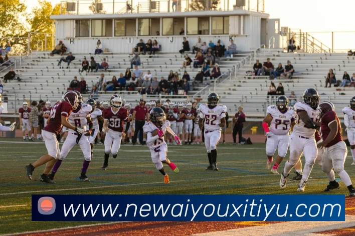 爱游戏体育APP 封面图